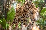 Belize_picture