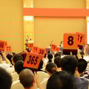 auction_shipper_houston_3.jpg
