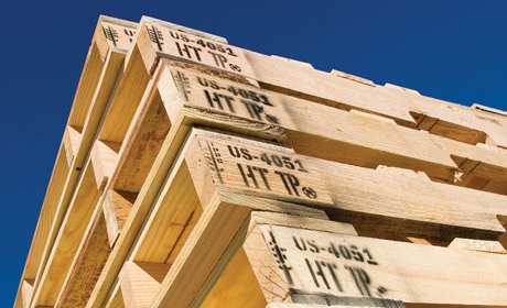 International_freight_shipping_heat_treated_wood